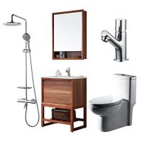 BRAVAT贝朗 德国IF奖系列浴室套装(连体坐便器305mm+600mm浴室柜+面盆龙头+全铜恒温淋浴柱）F0033-Z