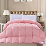 NICED奈士迪 70%白鸭绒冬被 纯棉面料 填充1300g 尺寸220*240cm总重2.4kg 两色