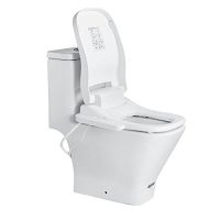 ROCA乐家 盖普GAP连体坐便器 +配欧乐净 即热式智能马桶盖 A0001