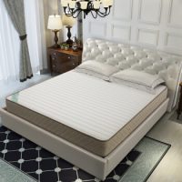 SLEEMON喜临门 3D椰棕床垫 整网邦尼尔弹簧床垫 加厚软硬两用棕垫主客卧室均可城市爱情流年 流年 180*200*22cm