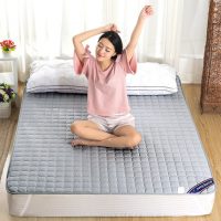 桂菲 折叠床垫榻榻米床褥子双人单人学生宿舍地铺睡垫 60*100cm
