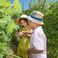 青流 热带新鲜水果火参果2个装 奇瓦诺果非洲蜜瓜火星果爆炸果