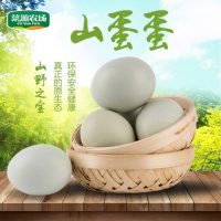 Cai Yuan Farm菜源农场 土鸡蛋农家正宗新鲜散养青壳鸡蛋笨鸡蛋草鸡蛋20枚