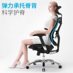 Sihoo西昊 V1 人体工程学椅子 电脑椅家用老板转椅 电竞椅 网布办公椅 3色可选