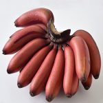 枝果趣 土楼特产 红香蕉玫瑰蕉火龙蕉红皮香蕉美人蕉5斤 新鲜水果