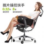 Ergoup有谱 萌芽-s 人体工学电脑椅家用办公椅网布职员椅子 电竞椅转椅 多色可选