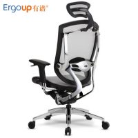 Ergoup有谱 致炫不透网 人体工学椅电脑椅网布椅家用办公椅老板椅 两用椅 4色可选