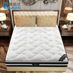 EVENILAND依丽兰 荣耀 天然乳胶独立袋装弹簧床垫 3E椰梦维双人席梦思床垫 180*200*29cm