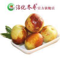 沾化冬枣 精品大果5斤 新鲜孕妇水果甜脆枣