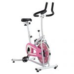 【美亚同款】SUNNY HEALTH&FITNESS 家用室内健身动感单车 健身车P8100/SF-B1203 炫彩/8100款